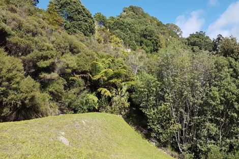 Photo of property in 9 Fantail Terrace, Tairua, 3508