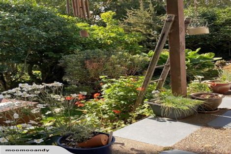 Photo of property in 350 Te Tahi Road, Puketotara, Te Awamutu, 3876