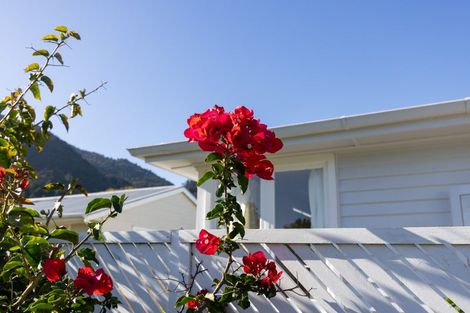 Photo of property in 19 Bracken Avenue, Te Aroha, 3320