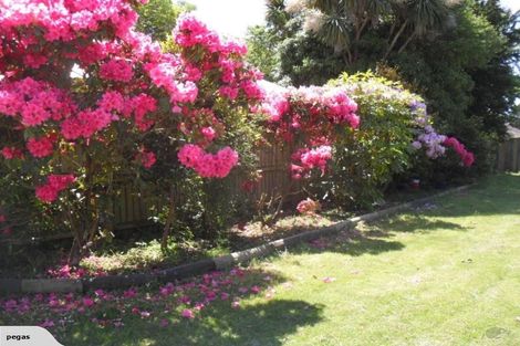 Photo of property in 9 Virgil Place, Northcote, Christchurch, 8052