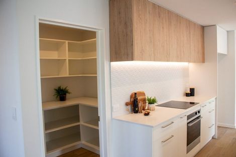 Photo of property in 46 Memorial Crescent, Methven, 7730