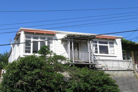 Photo of property in 133 Hanson Street, Newtown, Wellington, 6021
