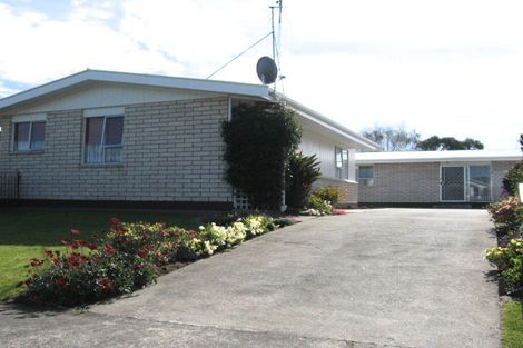 Photo of property in 17a Treadwell Street, Springvale, Whanganui, 4501