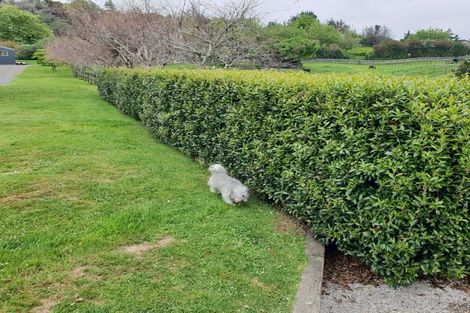 Photo of property in 600 Ponga Road, Opaheke, Papakura, 2584