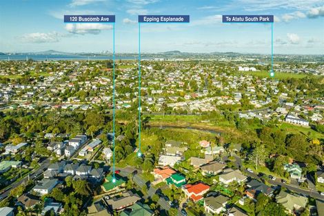 Photo of property in 120 Buscomb Avenue, Henderson, Auckland, 0610