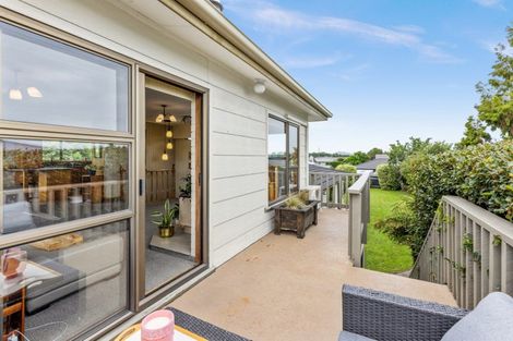 Photo of property in 410a Hemi Street, Raureka, Hastings, 4120