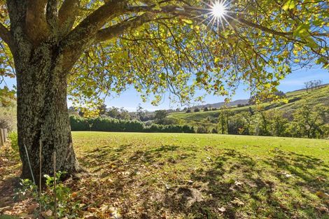 Photo of property in 473 Parklands Road, Rotoorangi, Cambridge, 3879