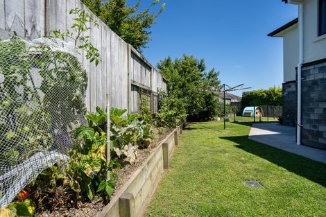 Photo of property in 19 Ihimaera Terrace, Leamington, Cambridge, 3432