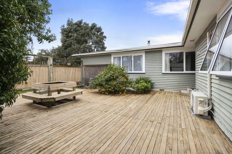 Photo of property in 193 Cambridge Avenue, Ashhurst, 4810
