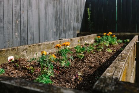 Photo of property in 58 Rodney Street, Nawton, Hamilton, 3200