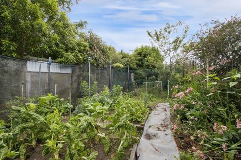 Photo of property in 48 Goodall Road, Whakamarama, Tauranga, 3179