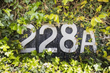 Photo of property in 228a Victoria Avenue, Hokowhitu, Palmerston North, 4410