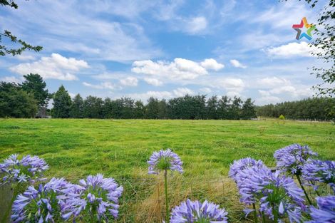 Photo of property in 224 Mill Road South, Seaward Bush, Invercargill, 9871