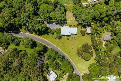 Property photo of 86 Brushbox Drive Mullumbimby Creek NSW 2482