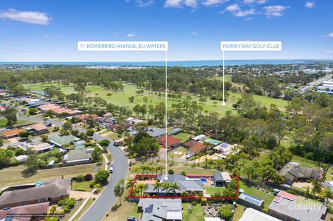 Property photo of 11 Bowerbird Avenue Eli Waters QLD 4655