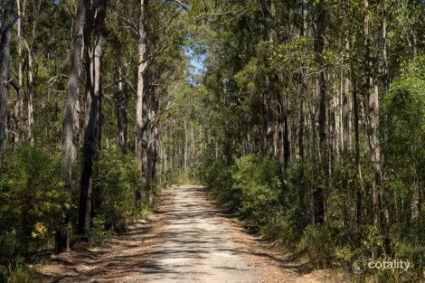 209 Serendipity Rd, Tabbimoble, NSW 2472