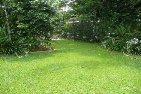 Property photo of 41 Terebra Street Palm Cove QLD 4879