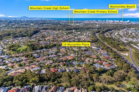 Property photo of 14 Micrantha Place Mountain Creek QLD 4557