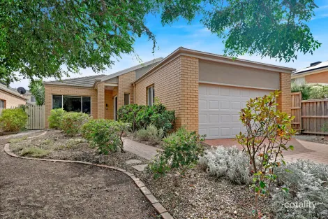 24 Silky Oak Dr, Bundoora, VIC 3083
