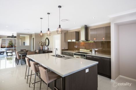 Property photo of 15 Cable Crescent Mountain Creek QLD 4557