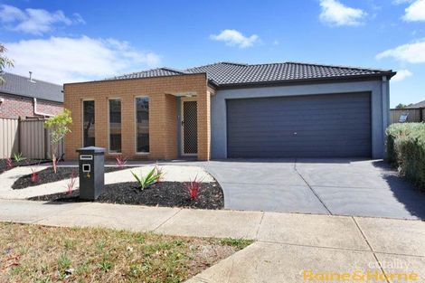 24 Inglewood Dr, Burnside Heights, VIC 3023