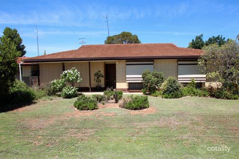 5 Ruston St, Renmark, SA 5341