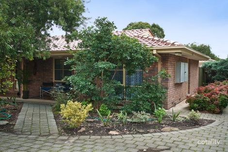 5/38 Murray Tce, Oaklands Park, SA 5046