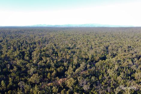 214 Foxglen Lane, Jacks Creek, NSW 2390