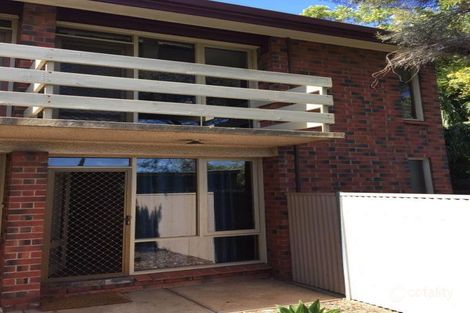 6/3 Clayton Ave, Plympton, SA 5038