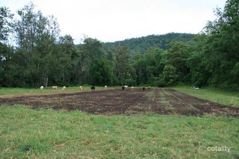 Property photo of 1887 Collins Creek Road Collins Creek NSW 2474