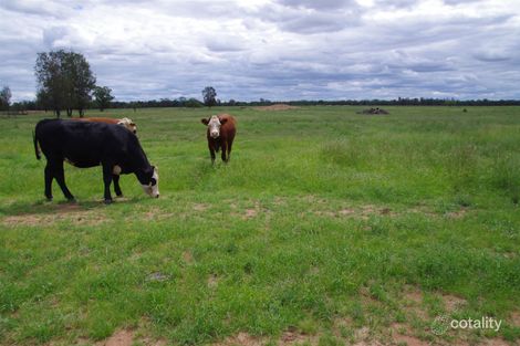 863 Kiandool Lane, Bohena Creek, NSW 2390