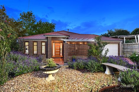 Property photo of 13 Shirley Avenue Glen Waverley VIC 3150
