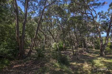 Property photo of 8 Allen Street Lorne VIC 3232