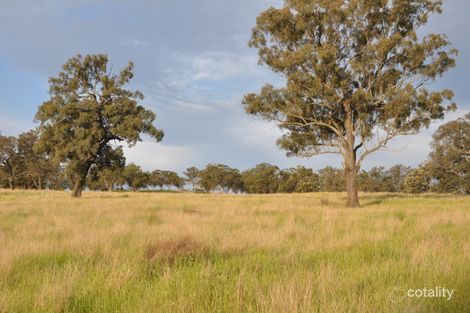 51 Queen St, Bunnan, NSW 2337