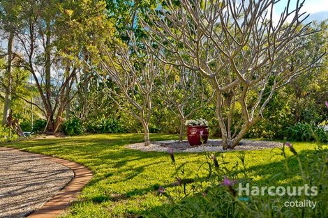 Property photo of 14 Wattletree Place The Gap QLD 4061