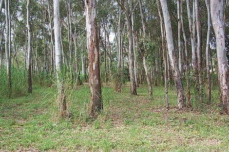 5 Jilba Ave, Lamb Island, QLD 4184