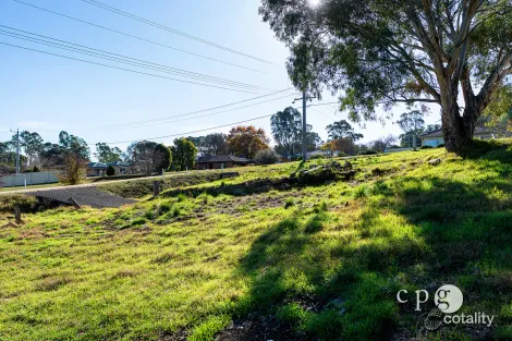 Property photo of 25 Ray Street Castlemaine VIC 3450