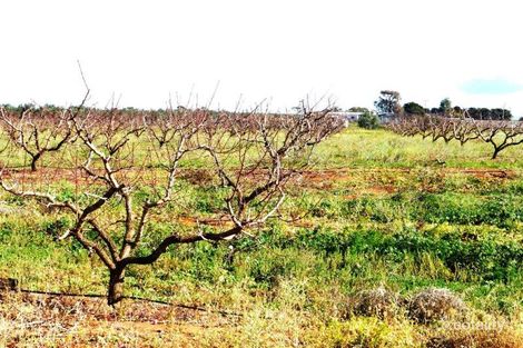 Property photo of 157 Kallora Road Bowmans SA 5550