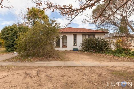 Property photo of 17 Banner Street O'Connor ACT 2602