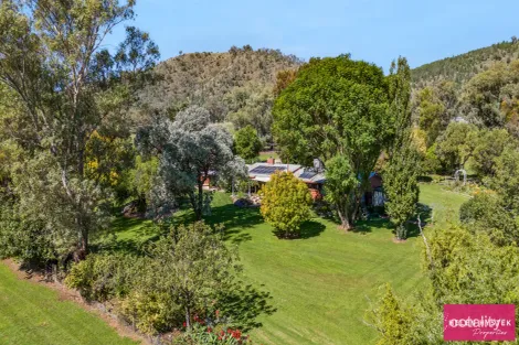 Property photo of 495 Back Kootingal Road Nemingha NSW 2340