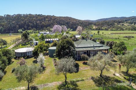 1303 Moyhu-Meadow Creek Rd, Meadow Creek, VIC 3678