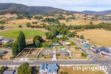 60 Mary St, Cygnet, TAS 7112