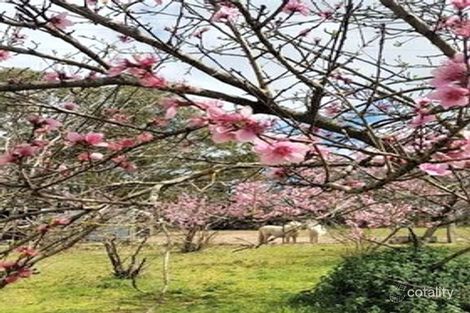 Property photo of 459 Jerrara Road Marulan NSW 2579