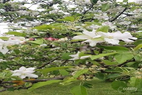 Property photo of 459 Jerrara Road Marulan NSW 2579