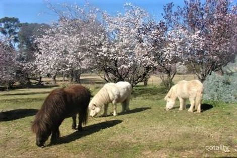 Property photo of 459 Jerrara Road Marulan NSW 2579