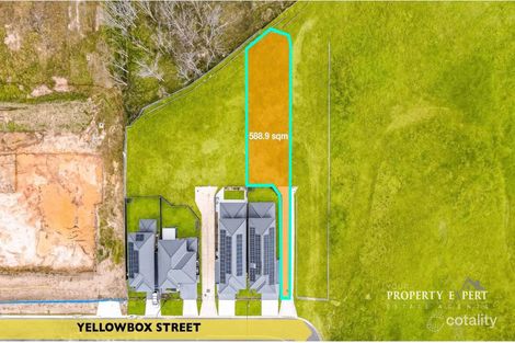 16 Yellowbox St, Marsden Park, NSW 2765