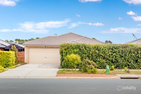 31 Dagmar Berne St, Macgregor, ACT 2615