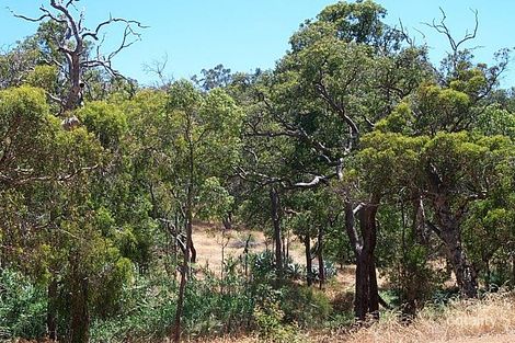 134 Falls Rd, Lesmurdie, WA 6076