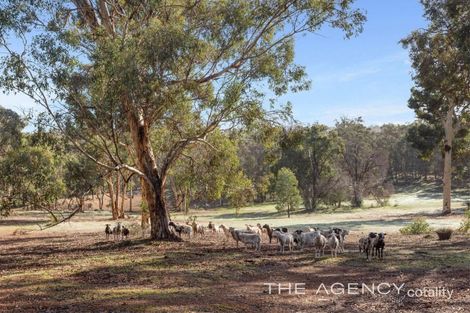 Property photo of 2360 Burma Road Bailup WA 6082