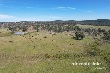 1305 Bingara Rd, Bundarra, NSW 2359